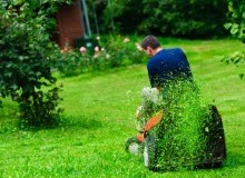 Kwikfynd Lawn Mowing
tallangattasouth