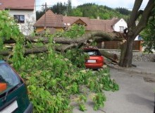 Kwikfynd Tree Cutting Services
tallangattasouth