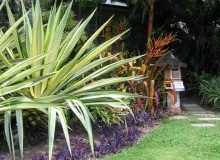 Kwikfynd Tropical Landscaping
tallangattasouth
